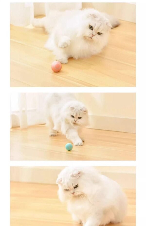 Smart Cat Toys Automatic Rolling Ball Electric Cat Interactive Toys Cats Training Self-moving Kitten Toys for Indoor Playing - Image 4